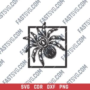 Spider Wall Decor for Halloween CNC Design